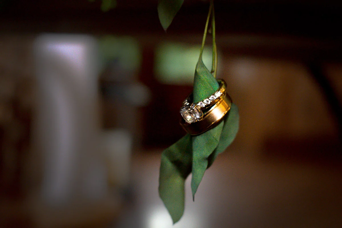 Wedding rings suspended among green leaves.